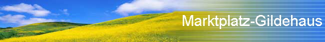 Marktplatz-Gildehaus